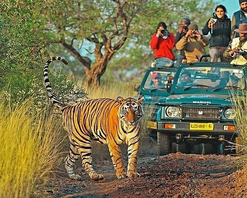 Ranthambore Tour Package